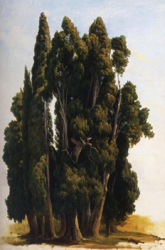 Gustaf Wilhelm Palm Cypresser Student China oil painting art